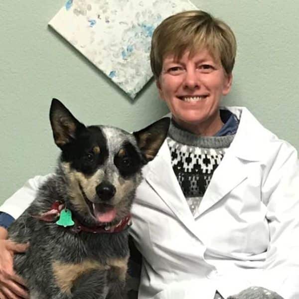 Dr. Sophia Catania