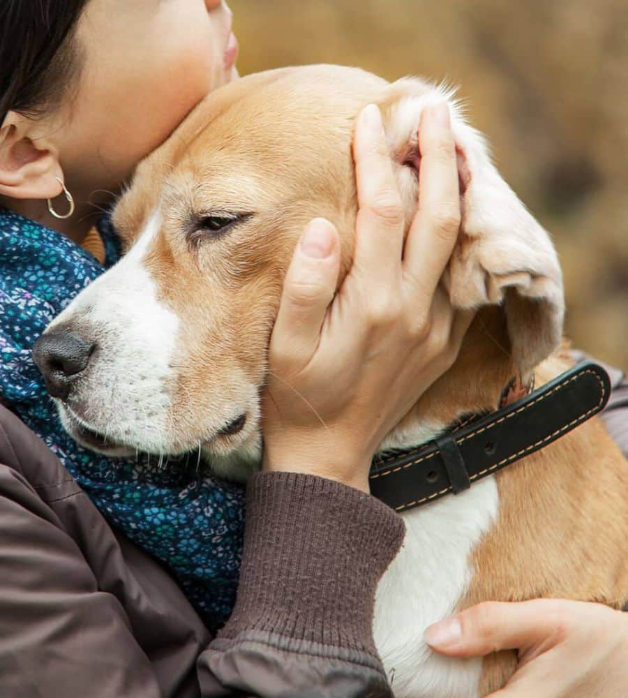 Woman with her dog tender hugs